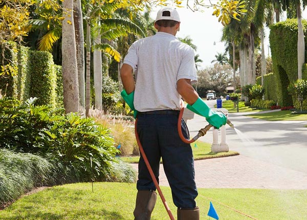 About New Haven CT Pest Control Pros